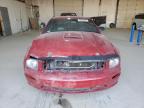 2008 Ford Mustang Gt for Sale in Lexington, KY - All Over