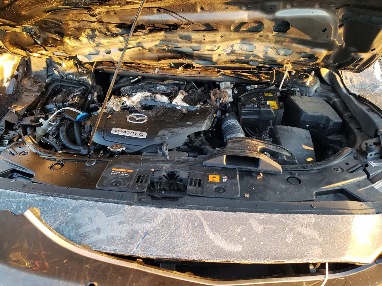 2020 Mazda CX-9 - Image 12
