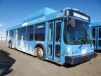 2009 El Dorado Axess for Sale in Brighton, CO - Rear End