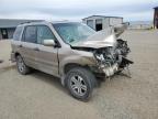 2005 Honda Pilot Exl na sprzedaż w Helena, MT - All Over
