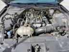 2021 Ford Mustang  for Sale in Grand Prairie, TX - Hail