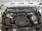 2024 Audi Sq5 Premium Plus zu verkaufen in York Haven, PA - Front End