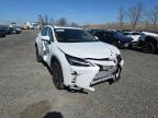 2024 LEXUS NX 350 PREMIUM à vendre chez Copart NJ - SOMERVILLE