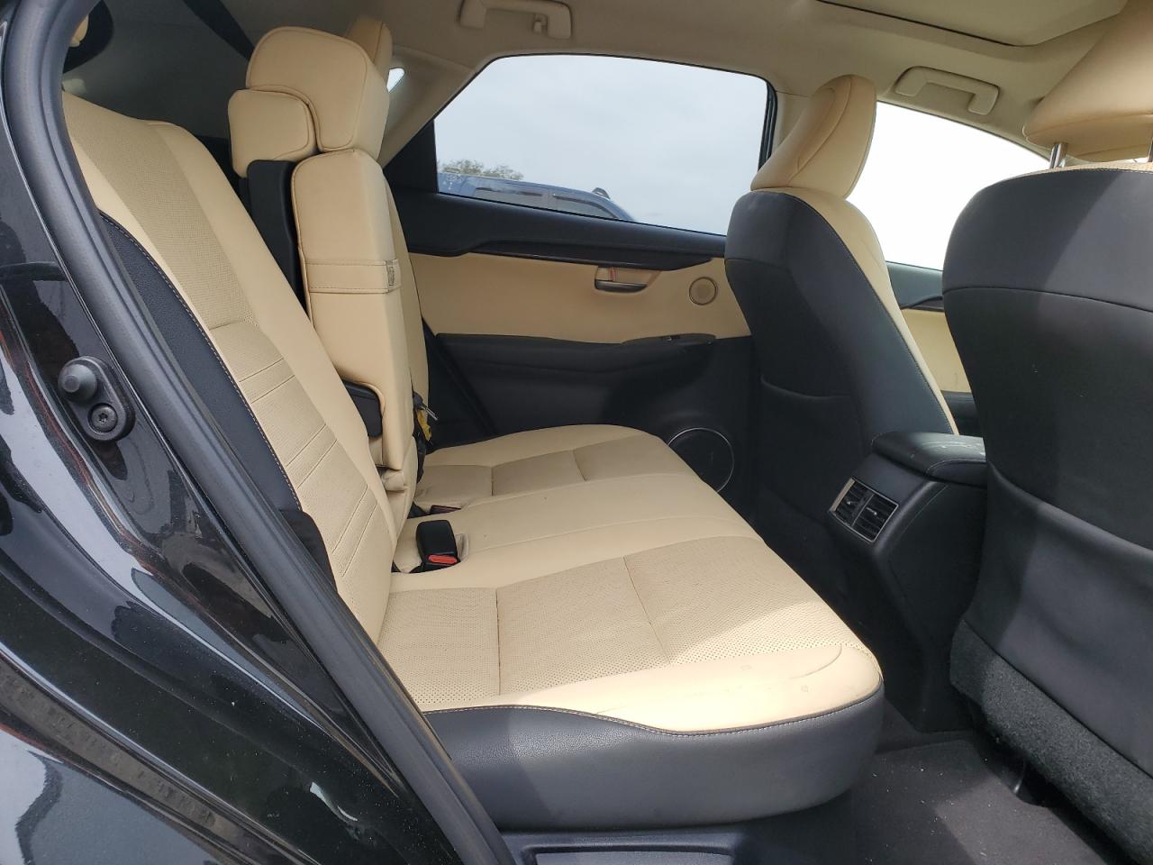 2020 Lexus NX - Image 11