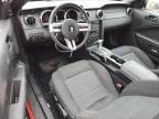 2006 Ford Mustang  for Sale in Louisville, KY - Normal Wear