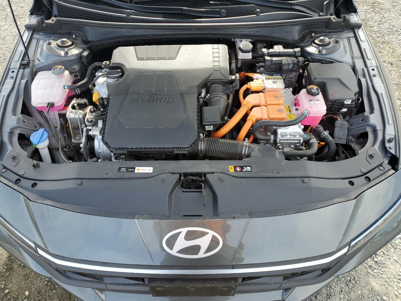 2024 Hyundai Elantra - Image 13