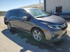 2020 Honda Odyssey Exl for Sale in Orlando, FL - Rear End
