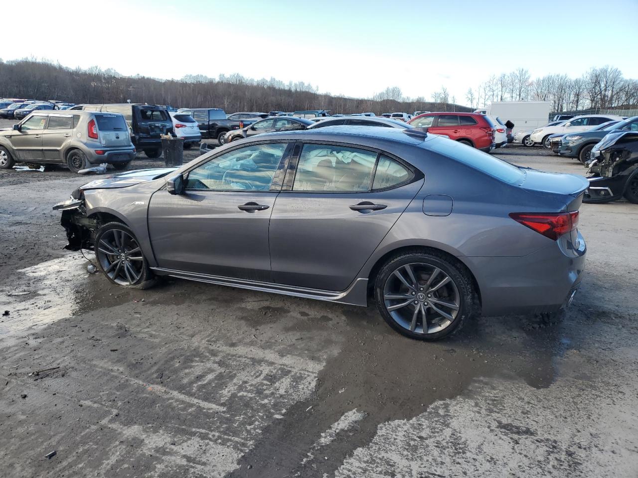 2019 Acura TLX - Image 2