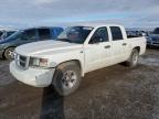 2009 Dodge Dakota Sxt იყიდება Helena-ში, MT - Side
