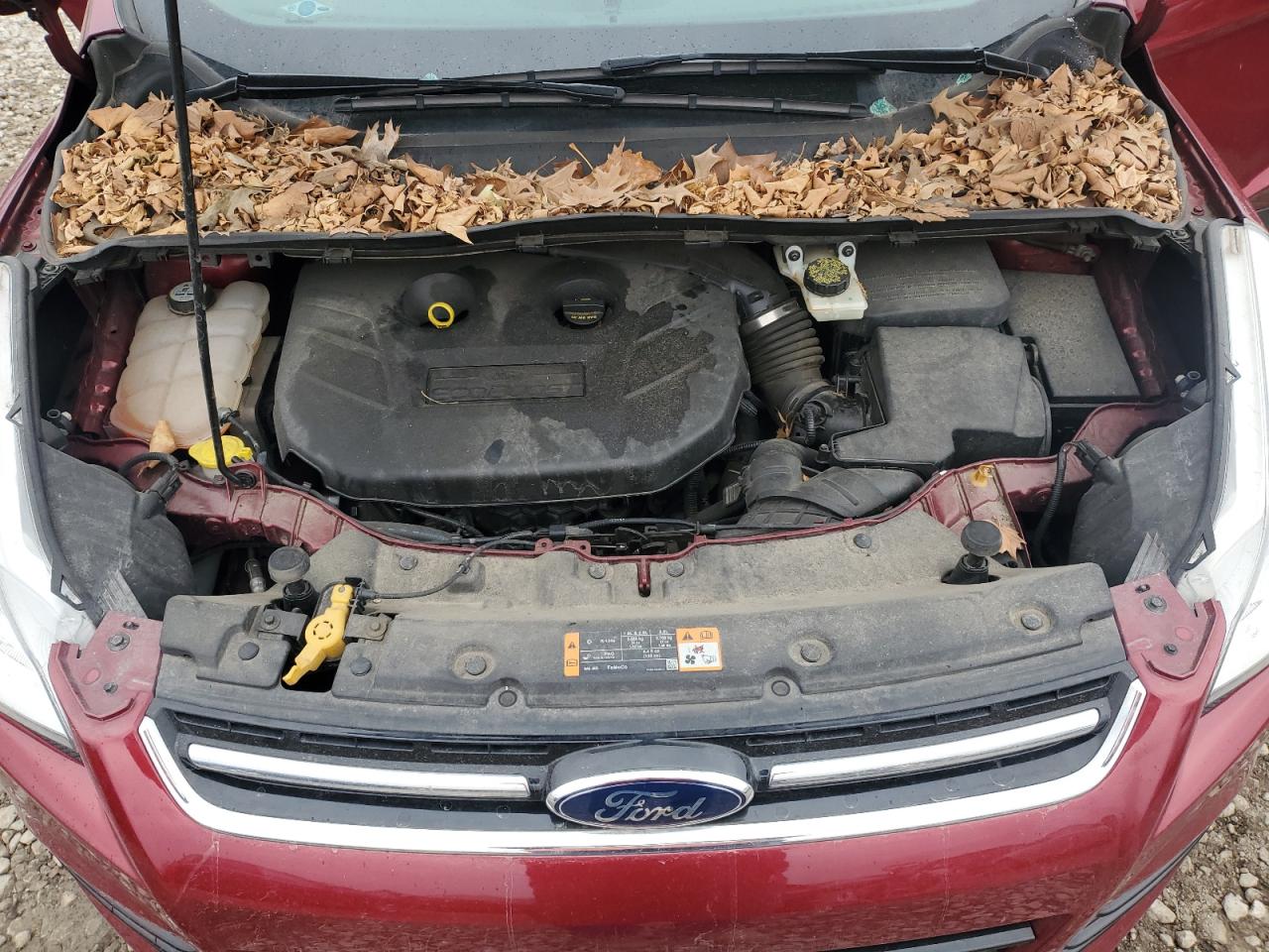 2014 Ford Escape - Image 12