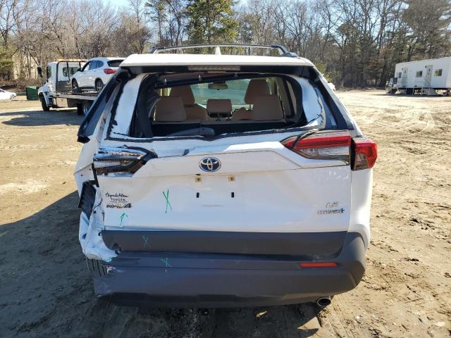 2023 TOYOTA RAV4 LE