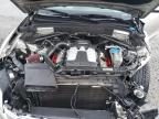 2013 Audi Q5 Premium Plus na sprzedaż w Arlington, WA - Front End