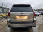 2021 Lexus Gx 460 Premium продається в Lawrenceburg, KY - Front End