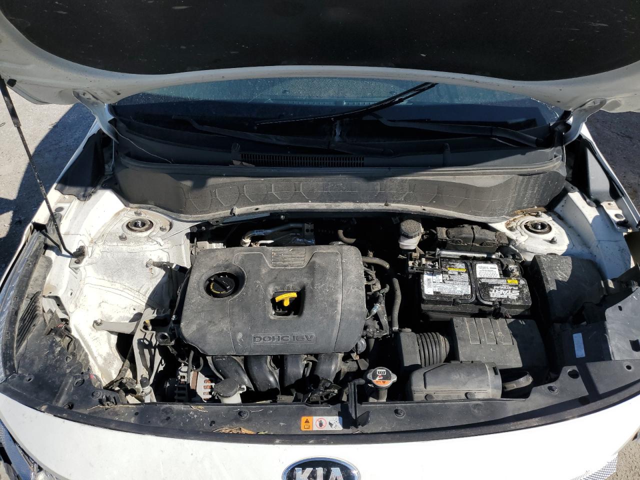 2021 Kia Seltos Lx VIN: KNDEPCAA7M7082459 Lot: 50494035