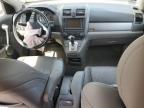 2010 Honda Cr-V Exl for Sale in Jacksonville, FL - Front End