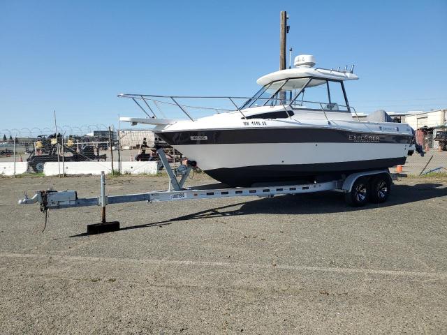 2019 Champion Boat