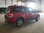 2008 Ford Escape Limited for Sale in Lexington, KY - Front End