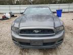 2013 Ford Mustang  en Venta en Knightdale, NC - Rear End