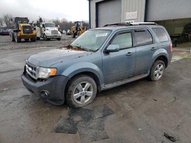 2010 Ford Escape Limited
