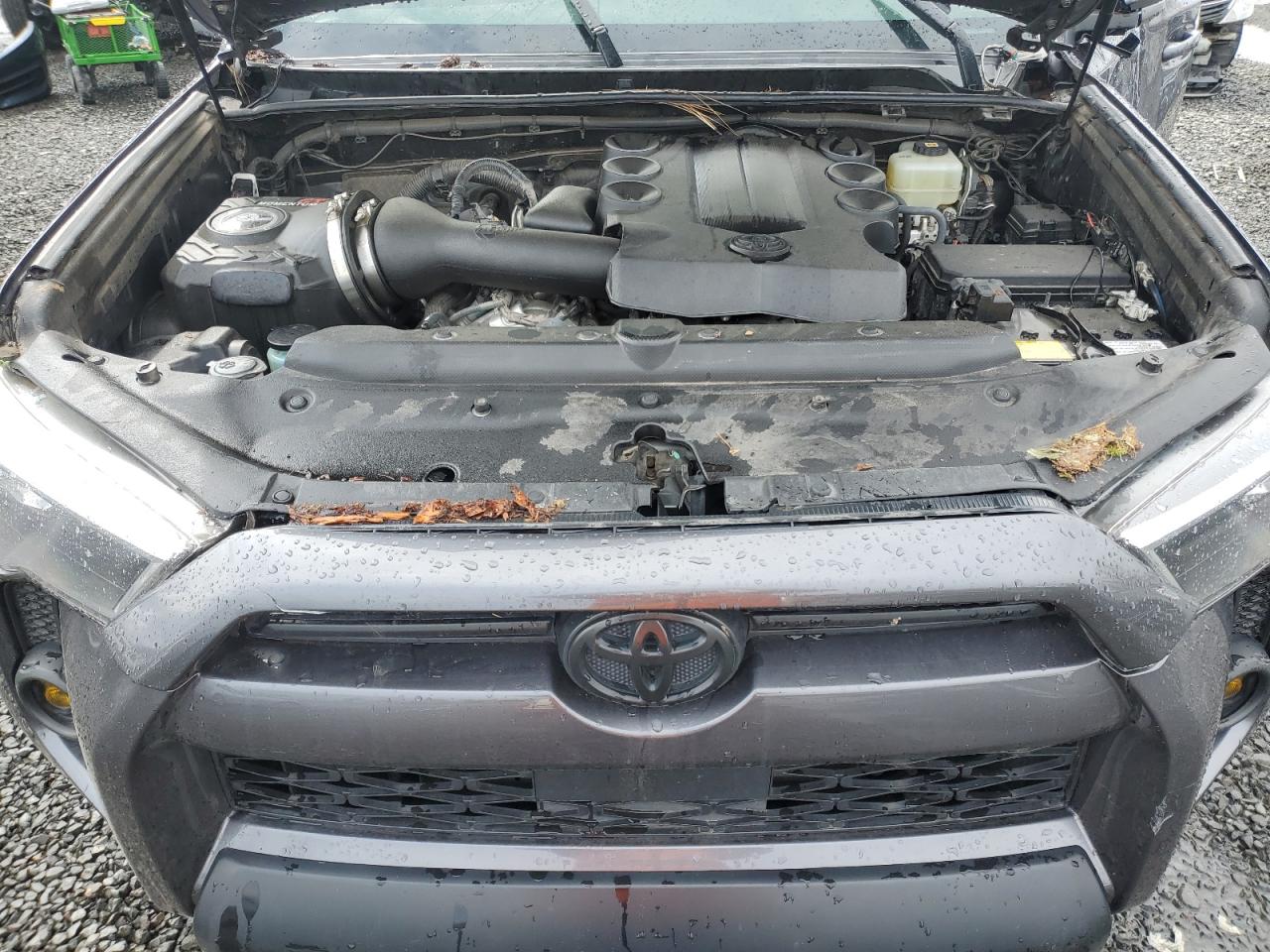 2022 Toyota 4Runner Sr5/Sr5 Premium VIN: JTENU5JR3N6067471 Lot: 50493315