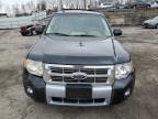 2012 Ford Escape Limited en Venta en Marlboro, NY - Front End