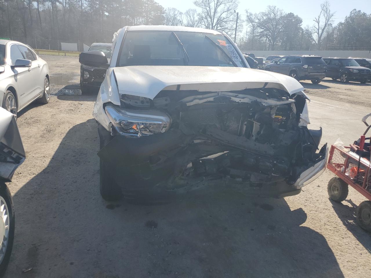 2019 Toyota Tacoma - Image 5