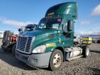 2016 Freightliner Cascadia 113 Semi Truck for Sale in Reno, NV - Minor Dent/Scratches
