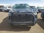 2024 Toyota Tundra Crewmax Limited   for Sale in Brighton, CO - All Over