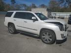 2017 Cadillac Escalade Luxury للبيع في Savannah، GA - Front End