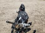 2025 TRIUMPH MOTORCYCLE DAYTONA 660   for sale at Copart NC - CHINA GROVE