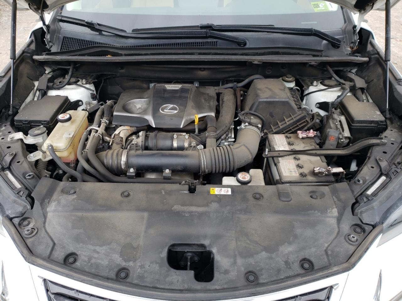 2019 Lexus Nx 300 Base VIN: JTJBARBZXK2202063 Lot: 48910505