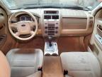 2010 Ford Escape Xlt for Sale in Elgin, IL - Front End