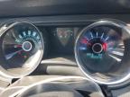 2013 Ford Mustang Gt للبيع في Louisville، KY - All Over
