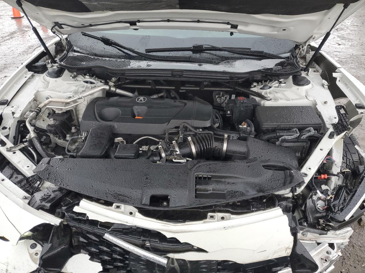 2021 Acura Tlx Technology VIN: 19UUB6F4XMA008858 Lot: 47849325