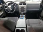 2012 Ford Escape Xlt de vânzare în Anthony, TX - All Over