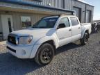 Earlington, KY에서 판매 중인 2005 Toyota Tacoma Double Cab - Hail