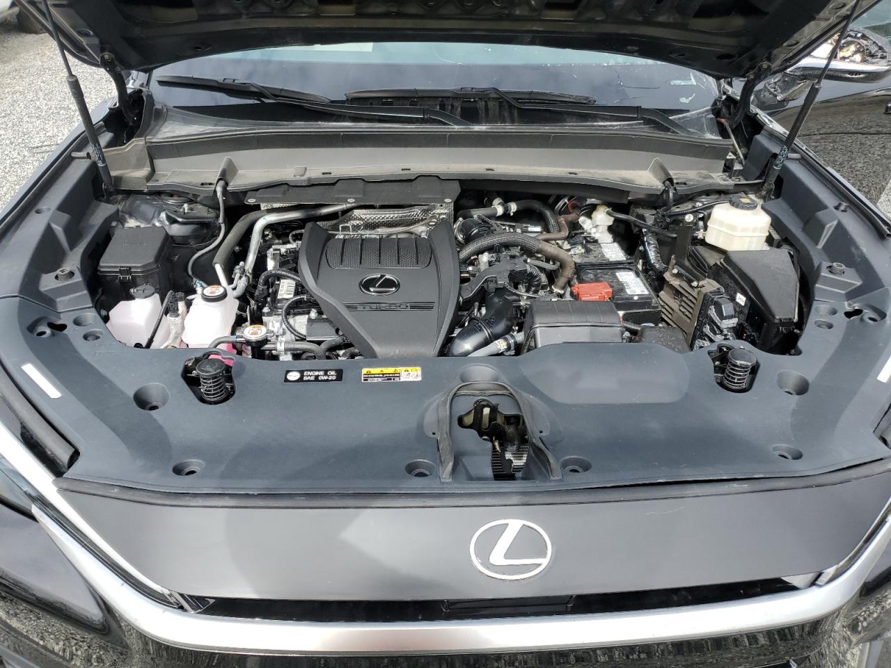 2024 Lexus TX - Image 12