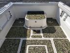 2013 Baha Cruisers Boat W/Trl for Sale in Columbia Station, OH - Top/Roof