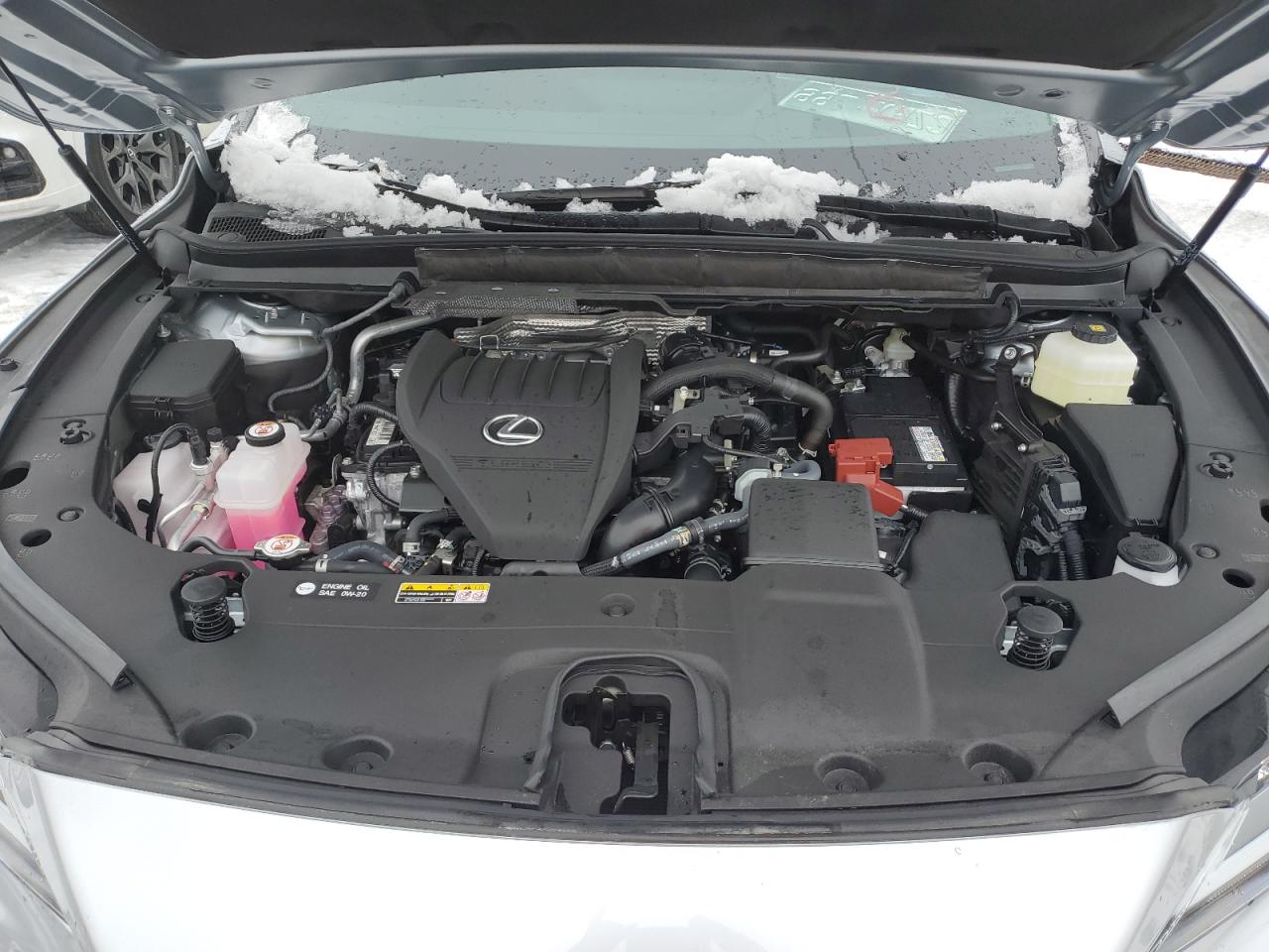 2024 Lexus RX - Image 11