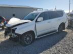 2016 Lexus Gx 460 Premium for Sale in Tifton, GA - All Over