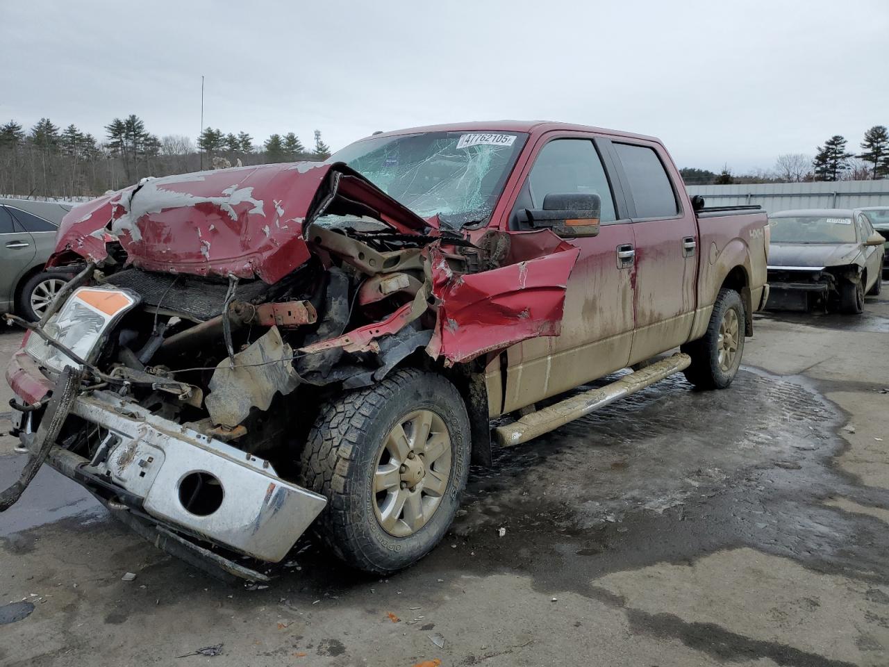 2014 Ford F-150 - Image 1