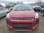 2016 Ford Escape Se за продажба в East Granby, CT - Minor Dent/Scratches