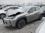 2020 LEXUS UX 250H à vendre chez Copart AB - CALGARY
