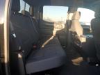 2024 Chevrolet Silverado K1500 Rst for Sale in Wayland, MI - All Over