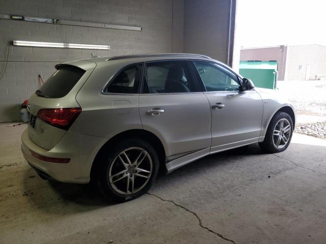  AUDI A5 2013 Колір засмаги