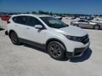 2021 Honda Cr-V Ex de vânzare în Arcadia, FL - Rear End