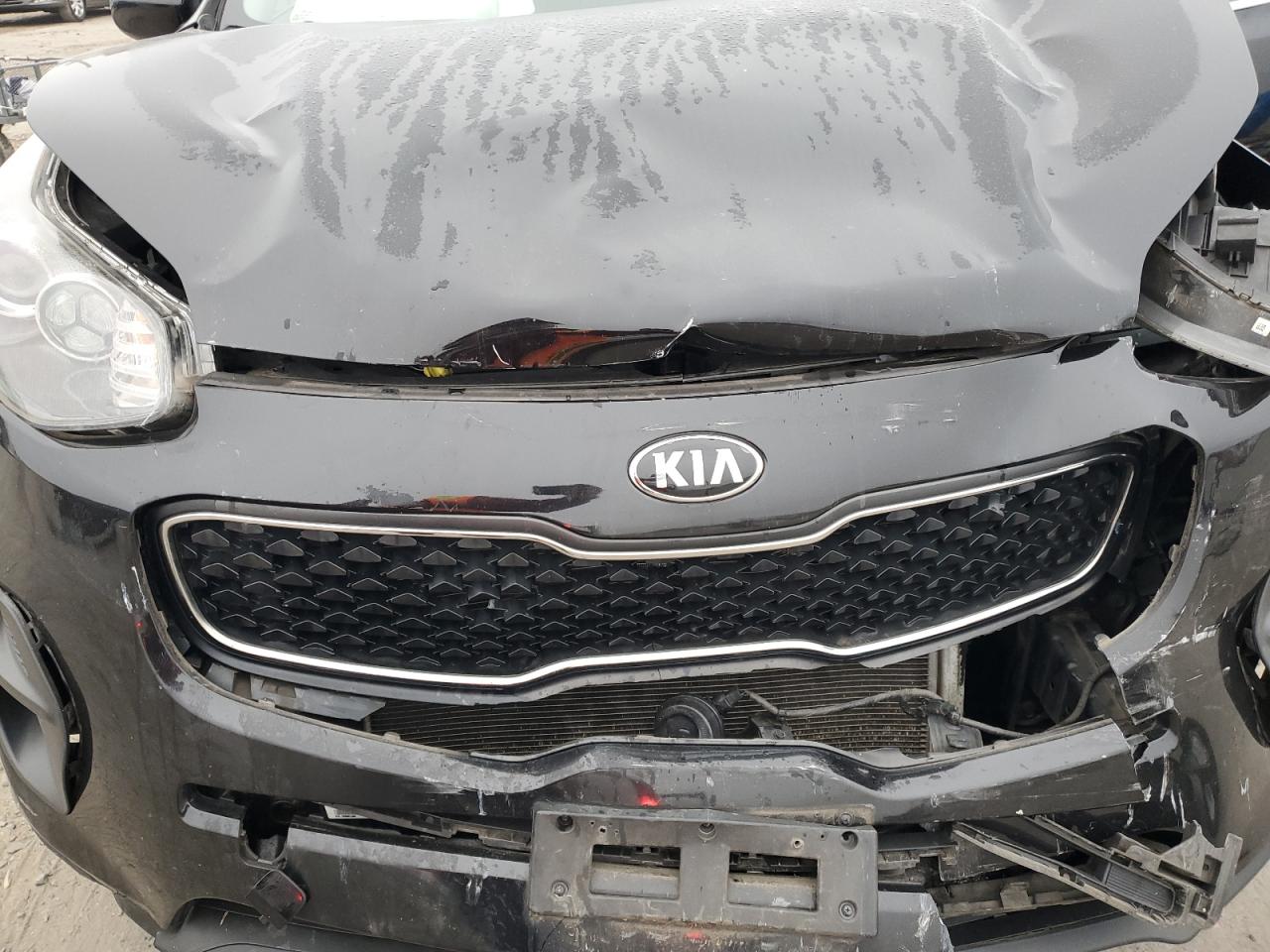 2017 Kia Sportage - Image 14
