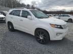 2013 Kia Sorento Sx de vânzare în Gastonia, NC - Minor Dent/Scratches