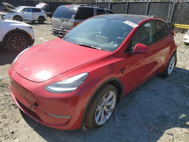 2021 Tesla Model Y 