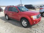 2011 Ford Escape Xlt للبيع في Louisville، KY - Rear End